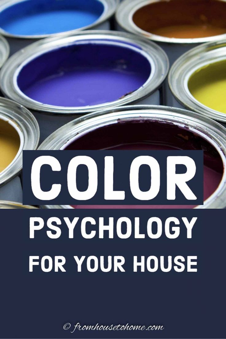 The Science of Color: Psychology and Impact of Paint Choices