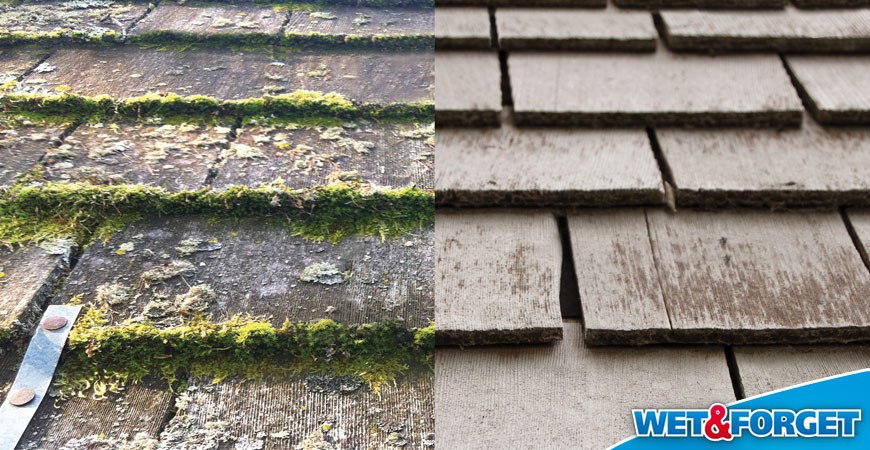 DIY Roof Cleaning: Tips for a Cleaner and Healthier Roof