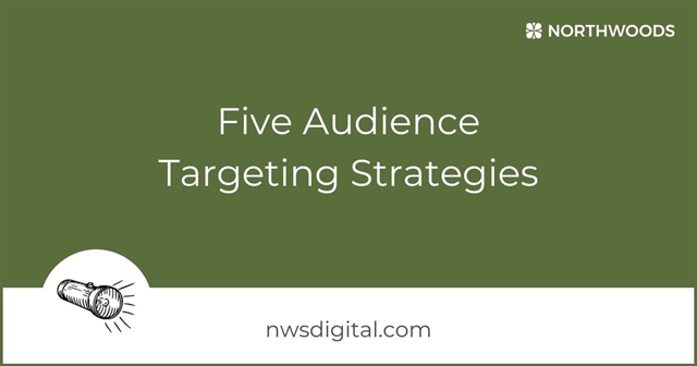 Effective Targeting Strategies for Social Media Advertising