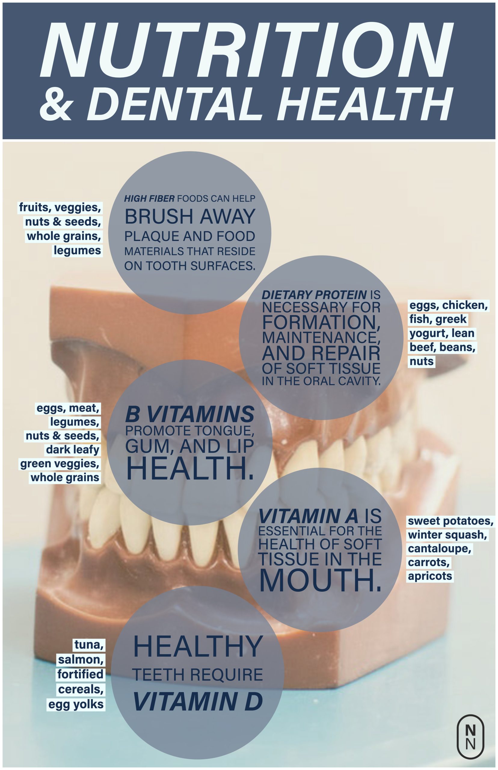 You are currently viewing Nutrition’s Role in Maintaining Strong Teeth and Gums