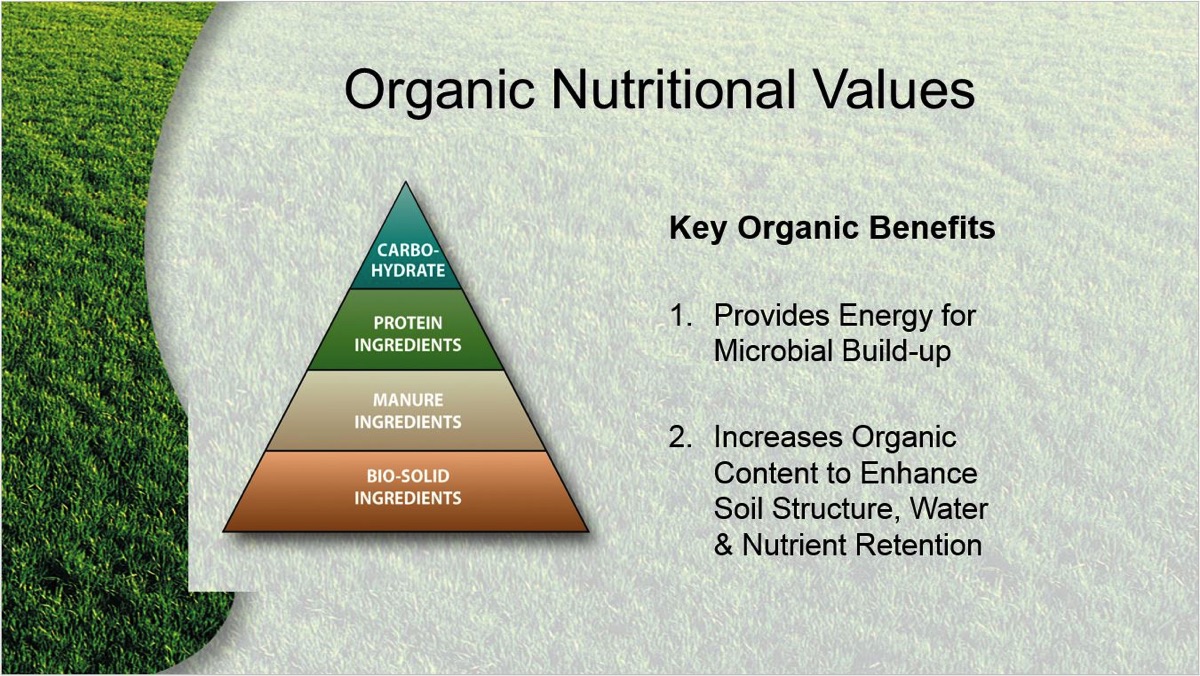 The Role of Organic Fertilizers in Soil Health