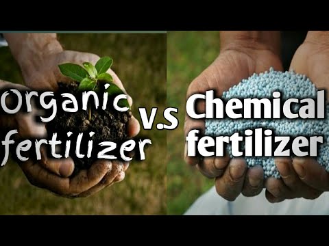 The Advantages of Organic Fertilizers Over Chemicals