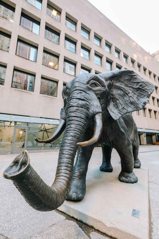 Toronto Financial District Elephants