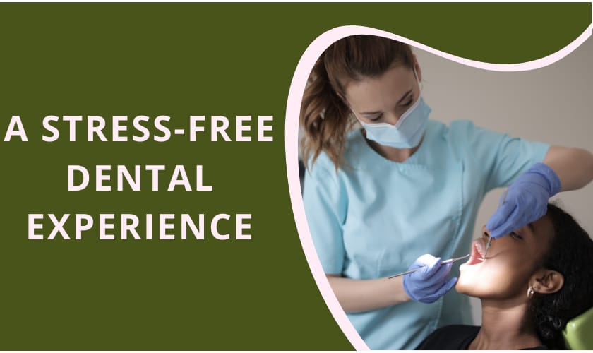 Leading Orthodontic Care by Briscoe Dentistry