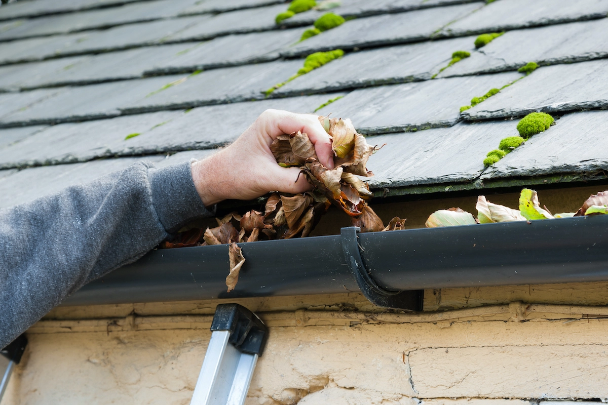 Seasonal Roof Maintenance: Ensuring a Clean and Durable Roof