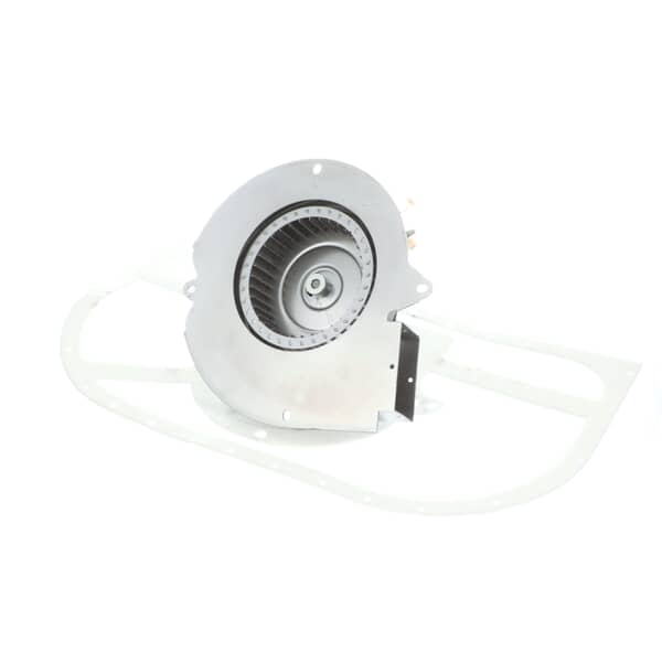 0131M00002PSP Goodman