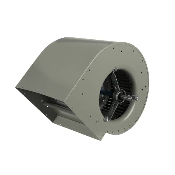 ACCX461548 Accurex