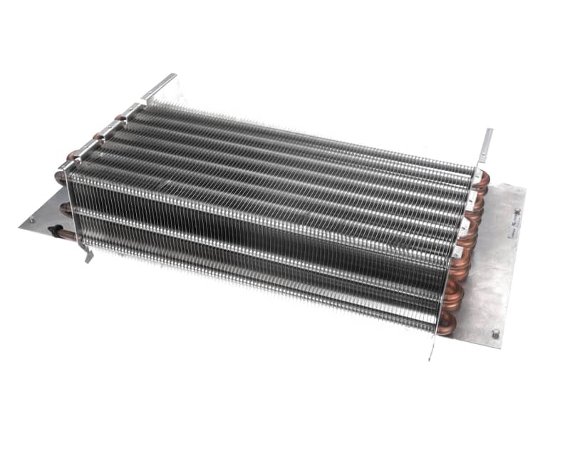 MIFO6103 Minus Forty