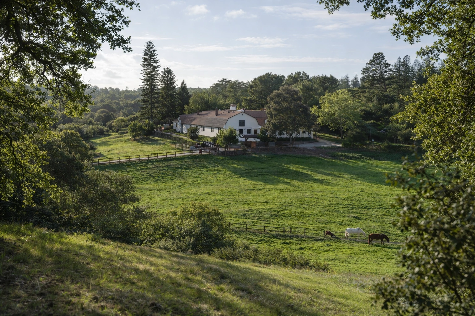 Los Altos Hills California real estate