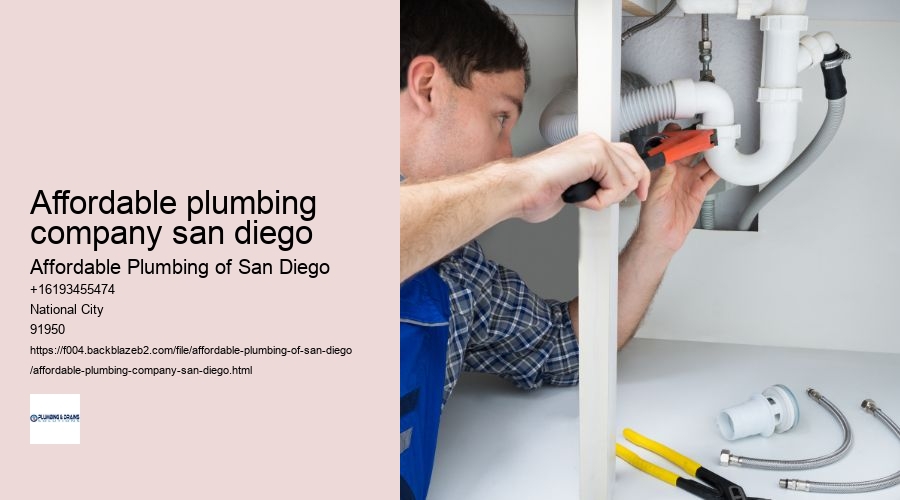 affordable plumbing company san diego