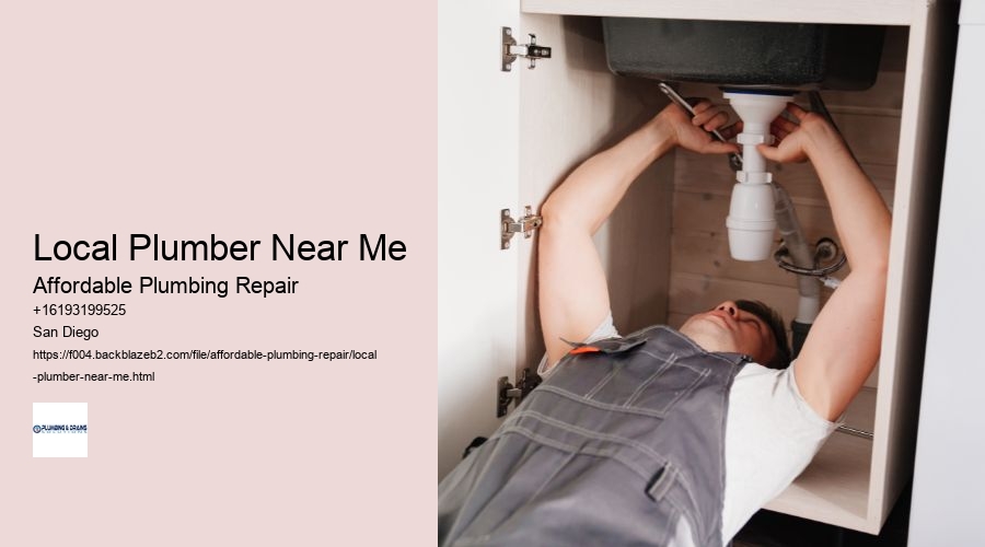 Local Plumber Near Me