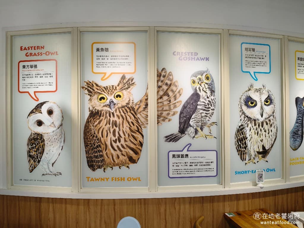 化石先生Mr. Fossil 貓熊餐廳 貓熊餐廳菜單 貓熊餐廳推薦 文山區美食 文山美食 動物園美食 餐廳內部特別邀請了生態畫家黃一峯,繪製台灣動物插畫,並附上物種說明,讓親子在用餐的同時,也能認識台灣野生動物。 @在地老饕阿府