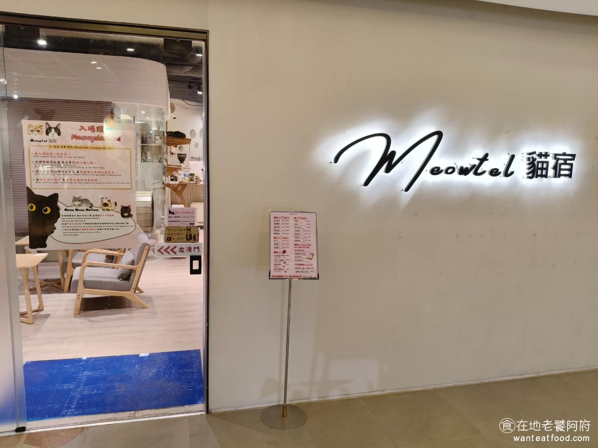 Meowtel貓宿貓旅館咖啡竹北 竹北市美食 咖啡