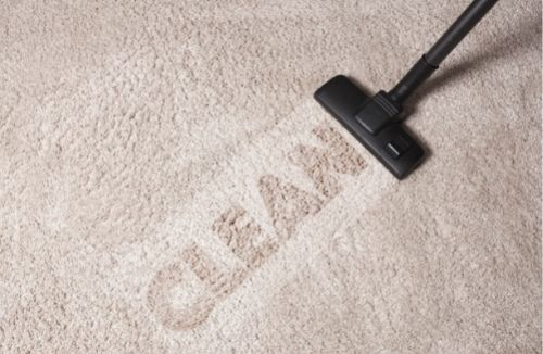 Organic Carpet Cleaning Brisbane