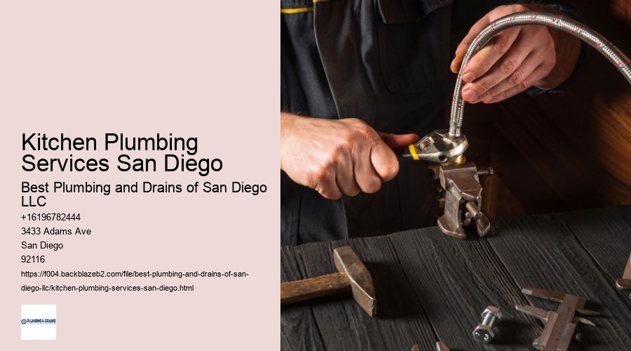 Kitchen Plumbing Services San Diego