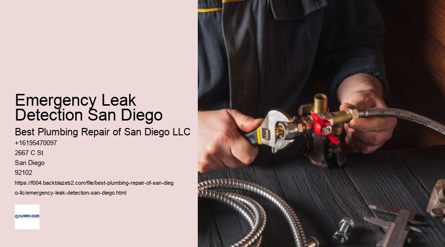 Emergency Leak Detection San Diego