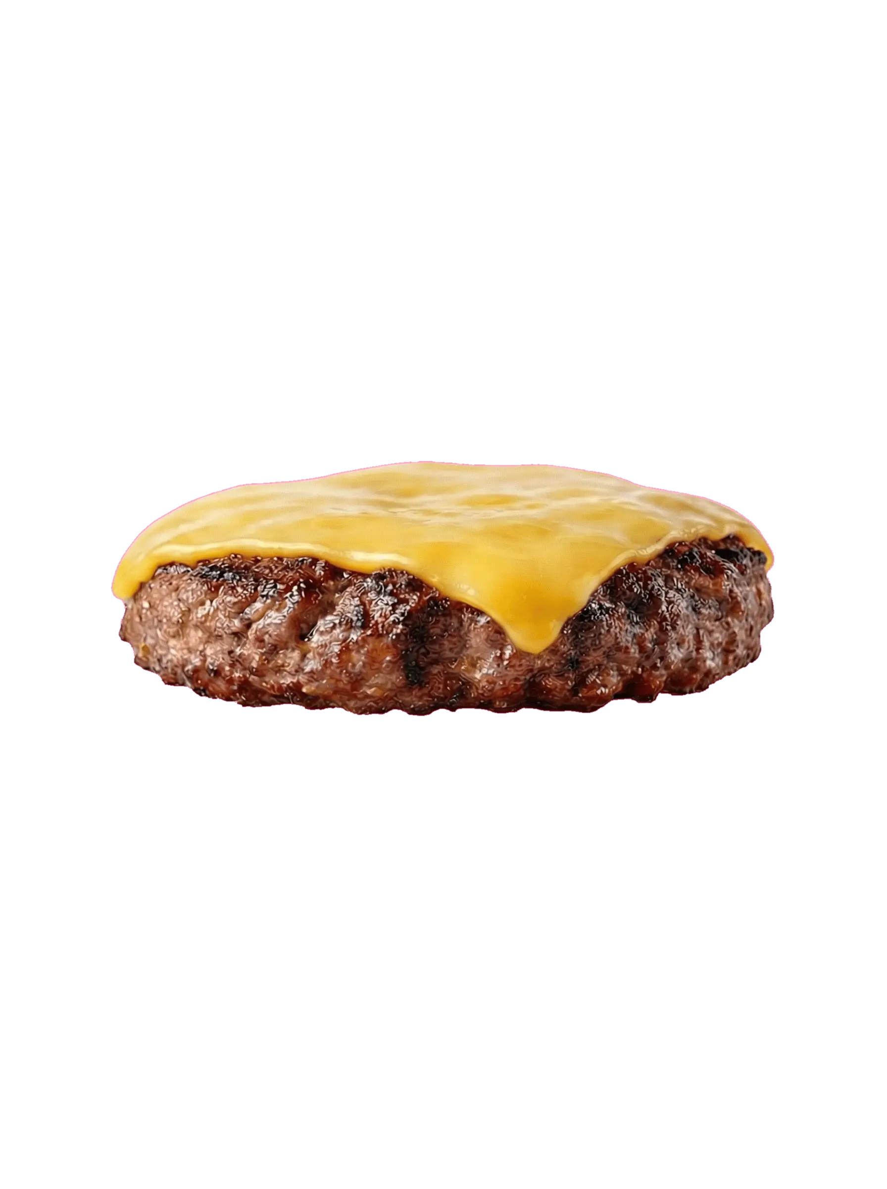 Patty with Cheese