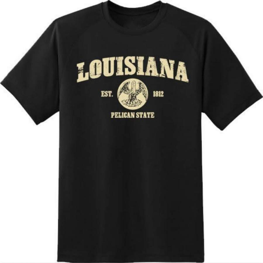 Louisiana State Vintage Retro Hometown America Gift T Shirt New Graphic Tee