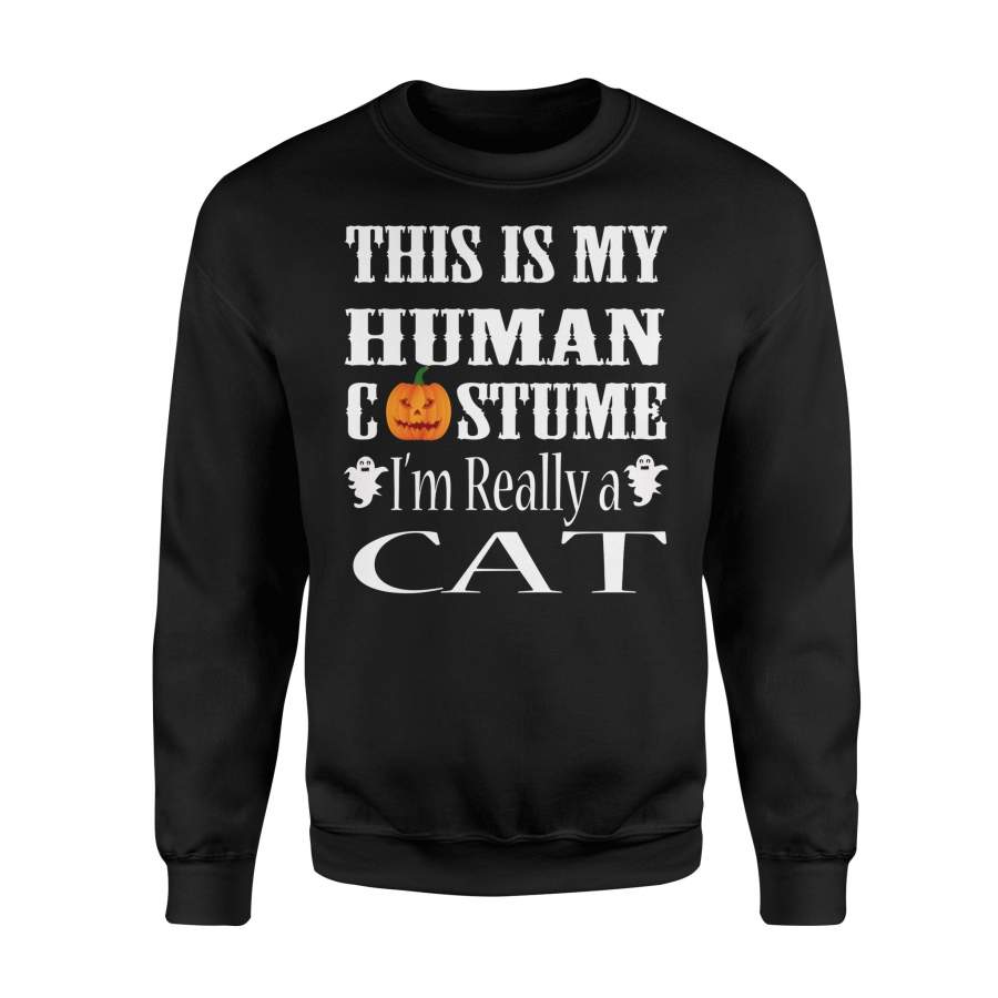 Halloween This Is My Human Custome I’m Really A Cat Pumpkin Halloween Sweatshirt