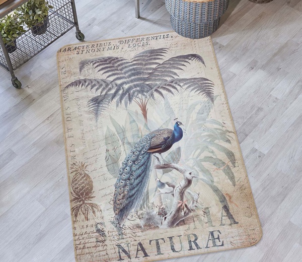 Beautiful Peacock In Forest Vintage …