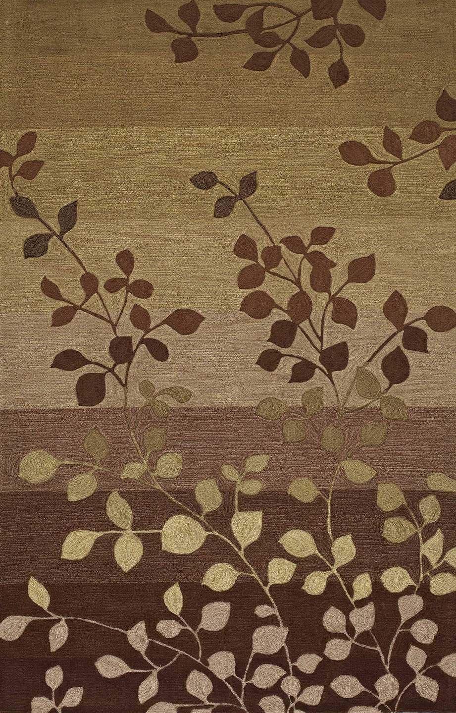 Studio Rug RCDD81F24809