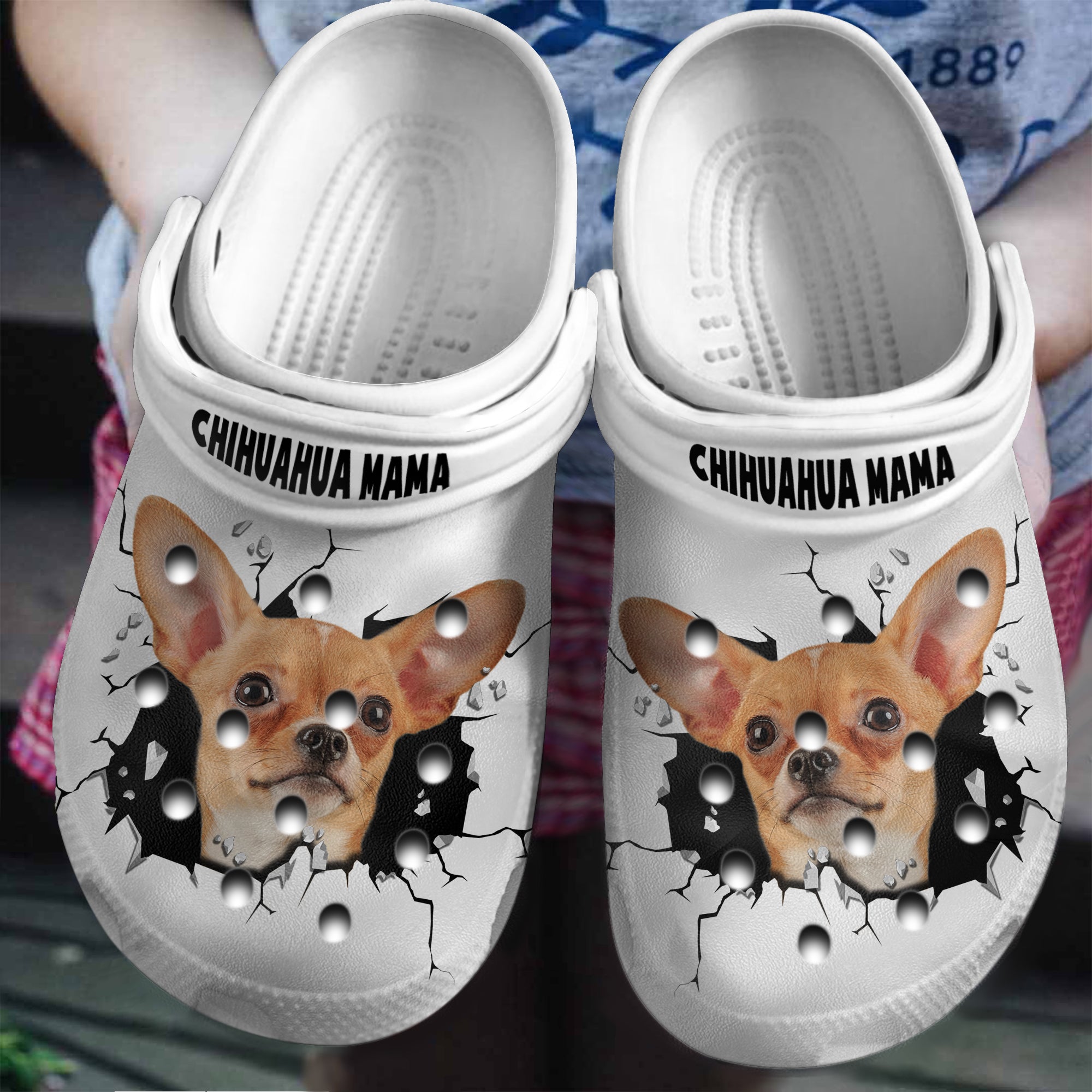 Chihuahua Mama In Hole Clogs Shoes