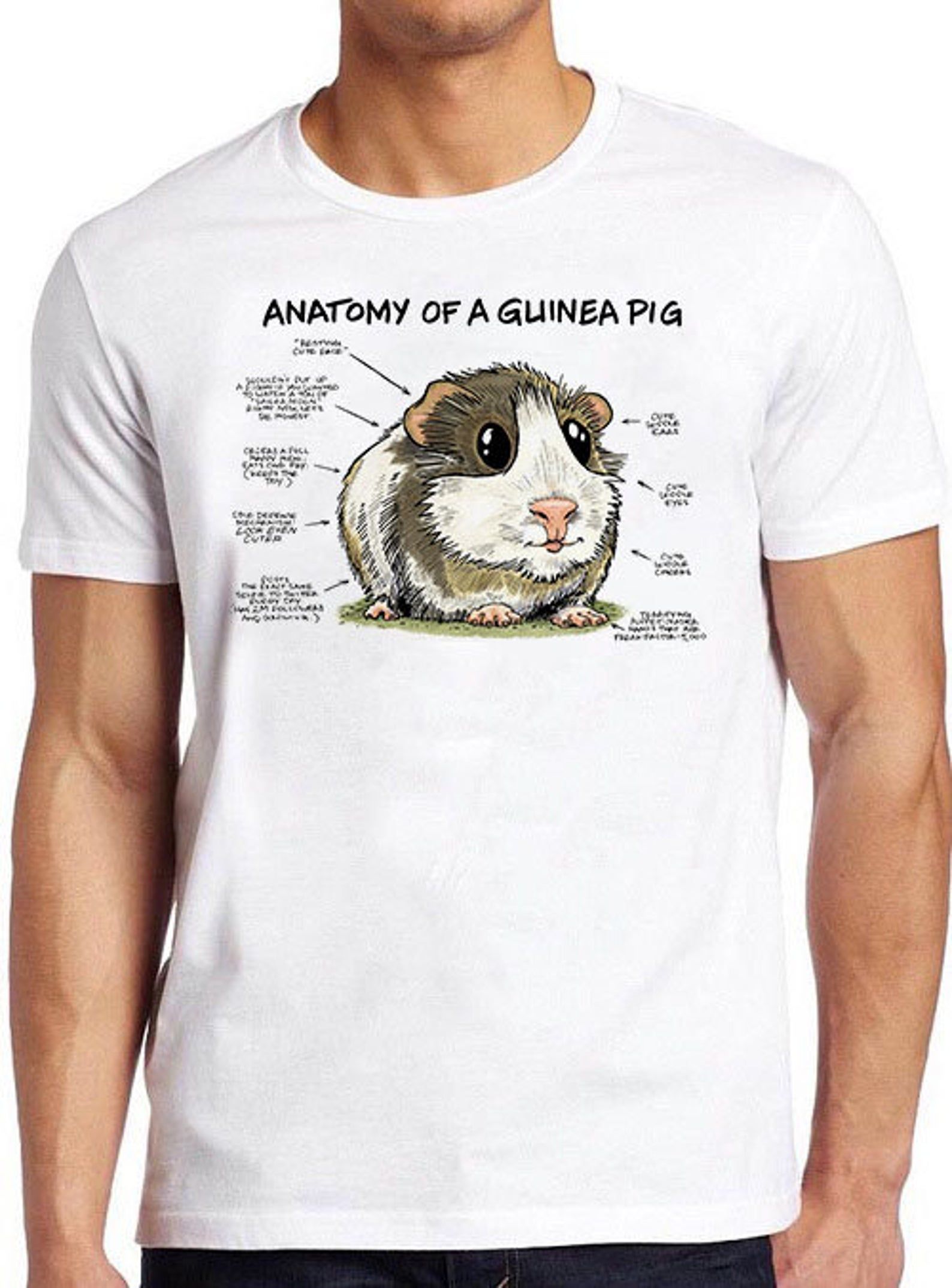 Anatomy Of A Guinea Pig T Shirt Funny Retro Vintage Cool Gift Tee 2881