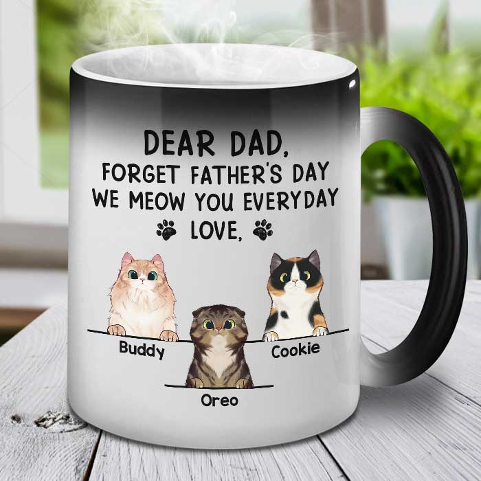 Dear Dad Forget Father’s Day I Meow You Everyday – Funny Personalized Color Changing Cat Mug