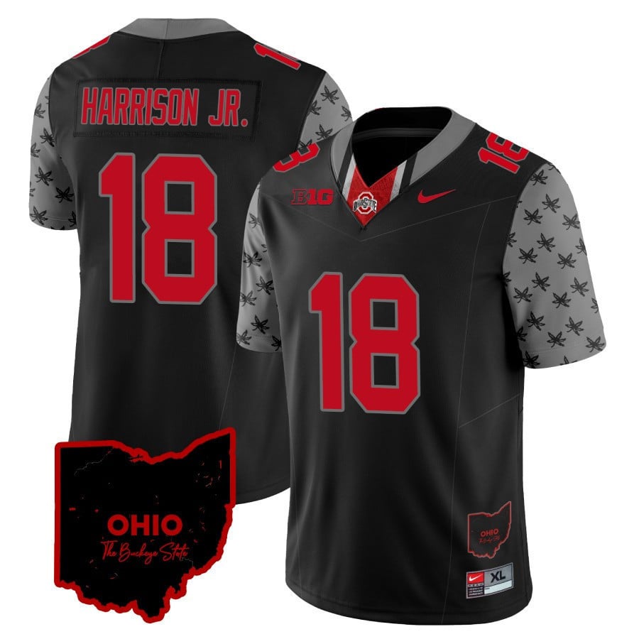 Youth’S Ohio State Buckeyes 2023 Gray Alternate Jersey – Stitched