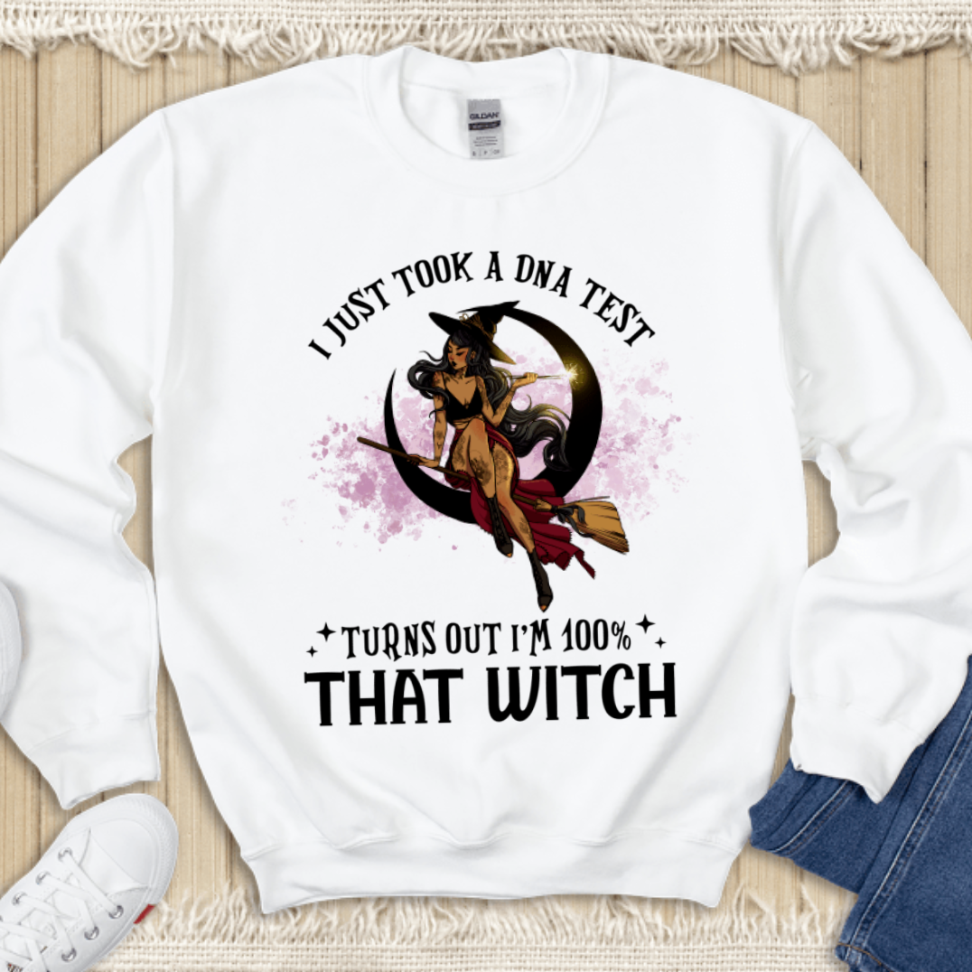 I Just Took A Dna Test Witch Sweatshirt, Halloween Gift
