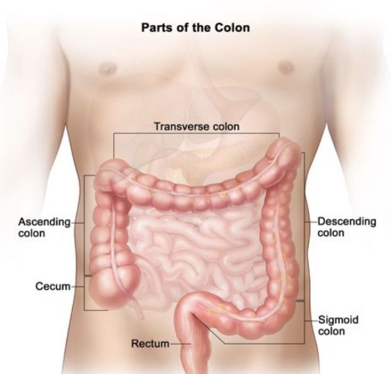 Does Colon Broom Help With Ibs