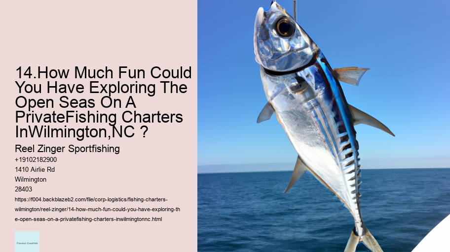 14.How Much Fun Could You Have Exploring The Open Seas On A PrivateFishing Charters InWilmington,NC ?  