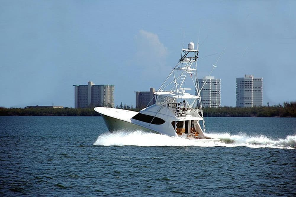 The Best Fishing Charters in Wilmington, NC