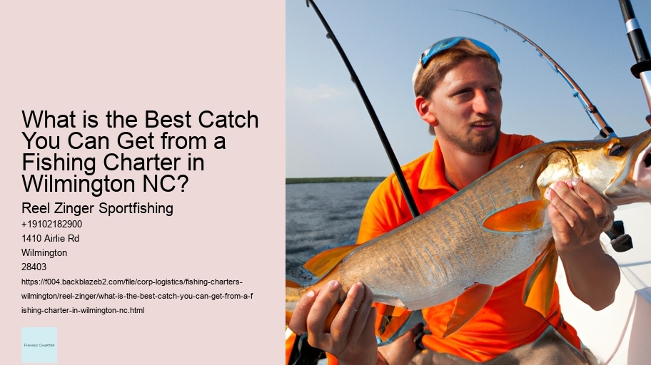 What is the Best Catch You Can Get from a Fishing Charter in Wilmington NC? 