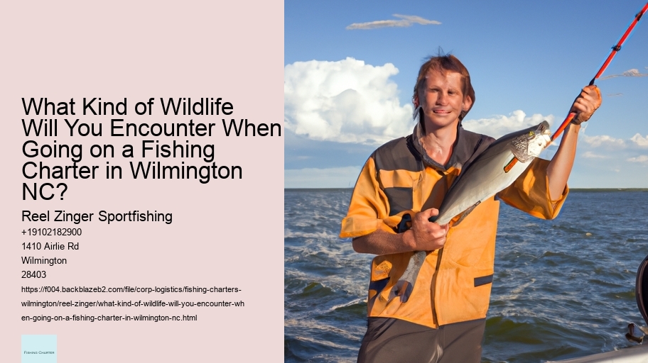What Kind of Wildlife Will You Encounter When Going on a Fishing Charter in Wilmington NC? 