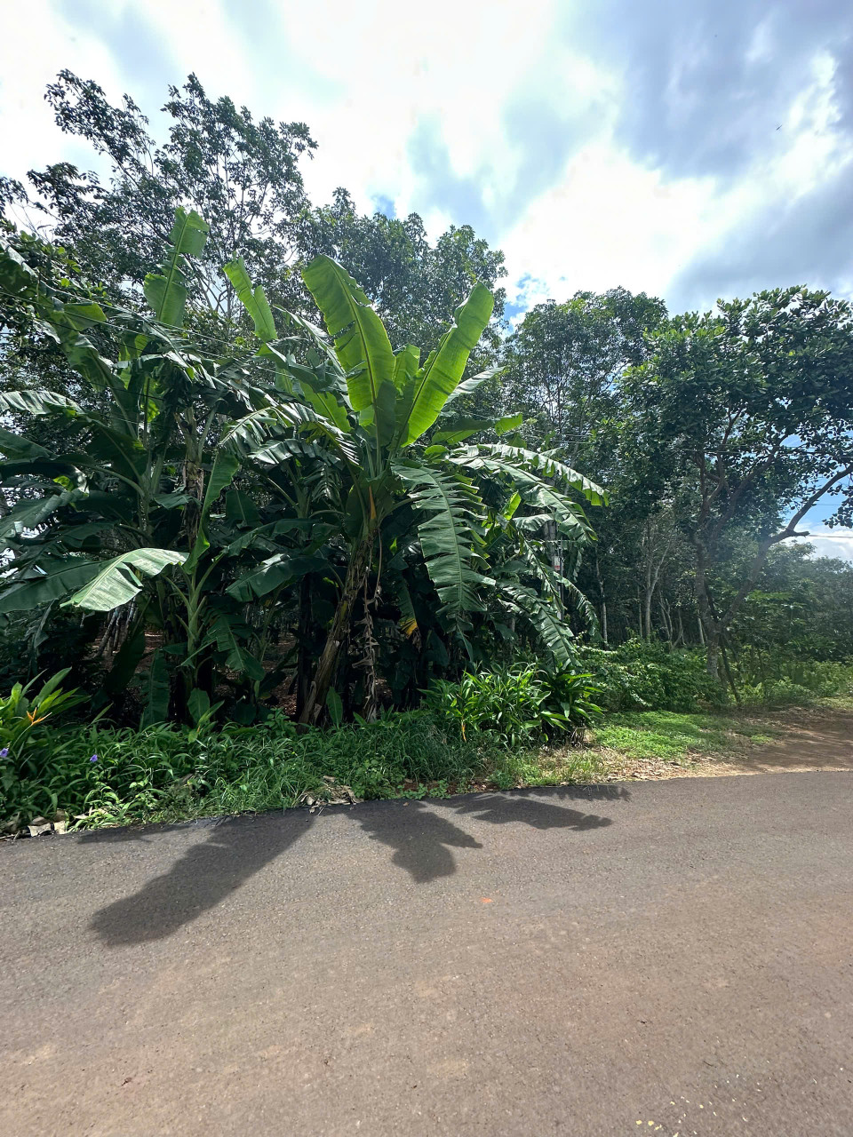 Bán gấp lô đất 7.791 m² mặt tiền 60m tại ĐT328, Xã Bàu Lâm, Xuyên Mộc, Bà Rịa – Vũng Tàu