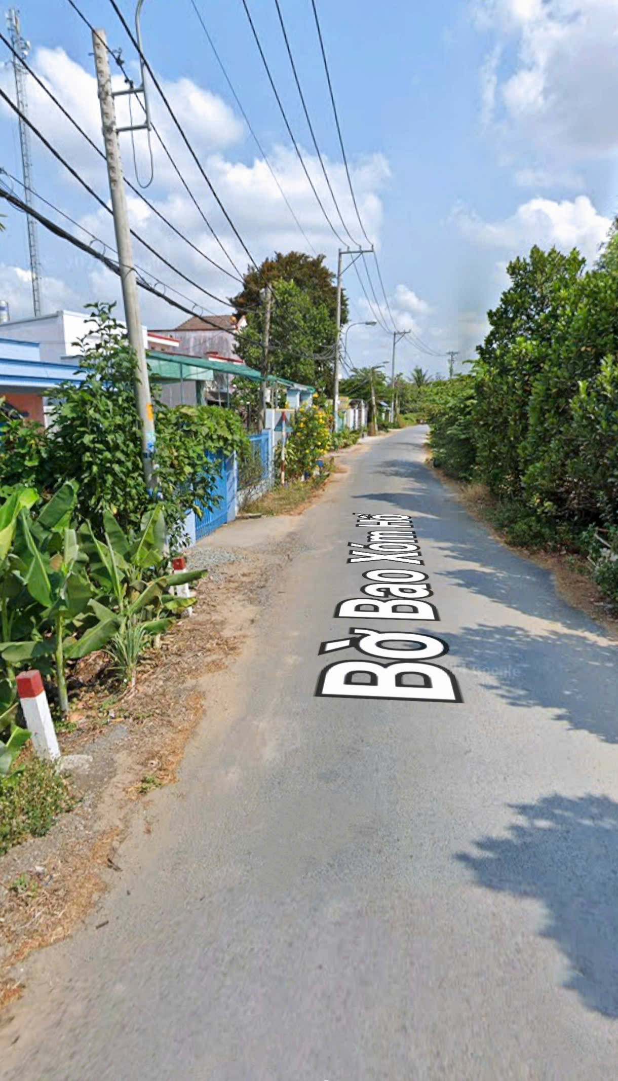 Cho thuê nhà cấp 4 hẻm xe tải diện tích 250m2 tại TP HCM