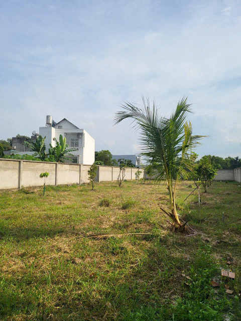 Cần bán gấp lô đất mặt tiền Đường An Ninh, Đức Hòa, Long An 1008m² giá 11 tỷ