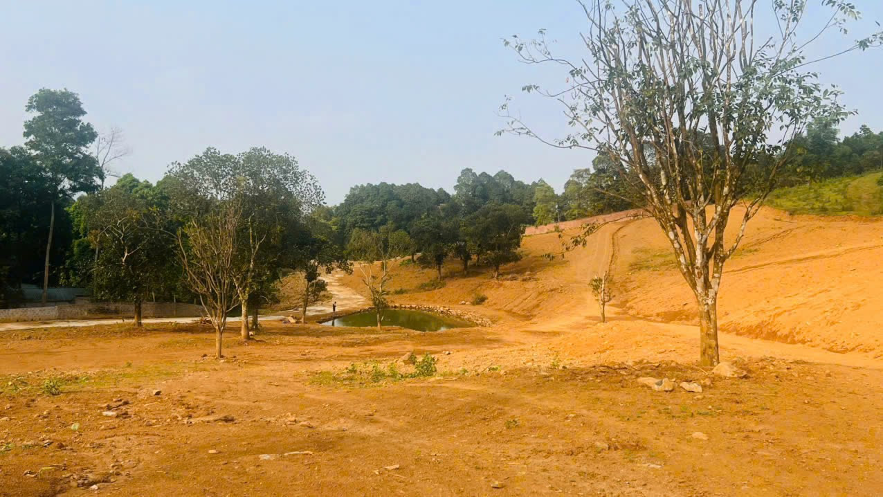 Cơ hội sở hữu đất nghỉ dưỡng giá rẻ tại Lương Sơn, Hòa Bình