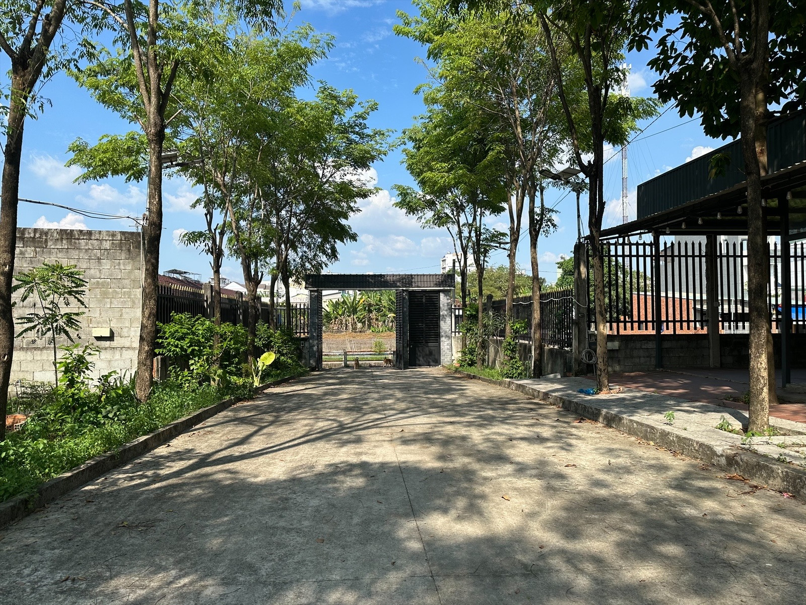 Cho thuê nhà và đất có sẵn vườn cây xanh View bờ kè thoáng mát