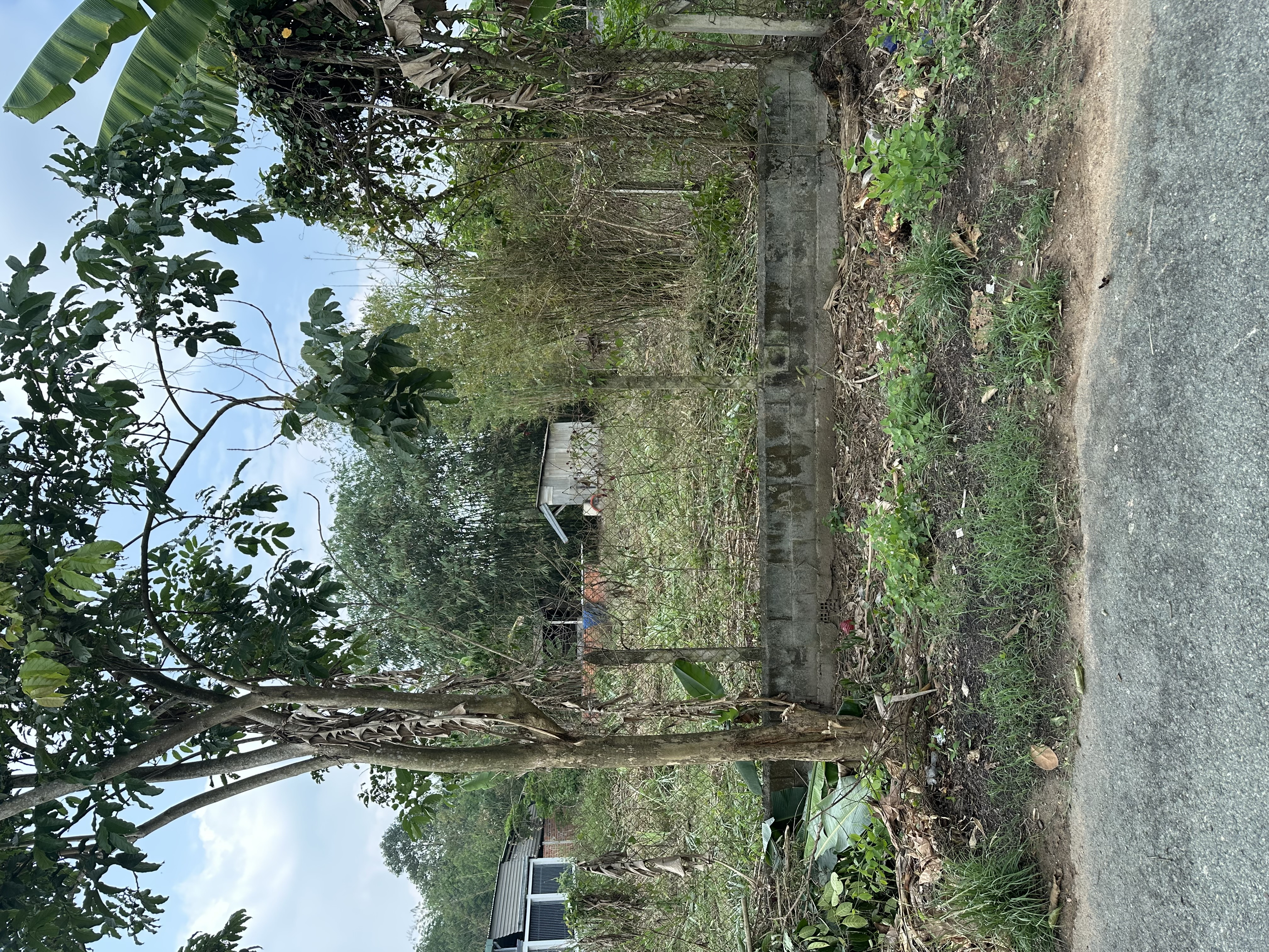 Đất ở có thổ cư, nở hậu tại TP HCM