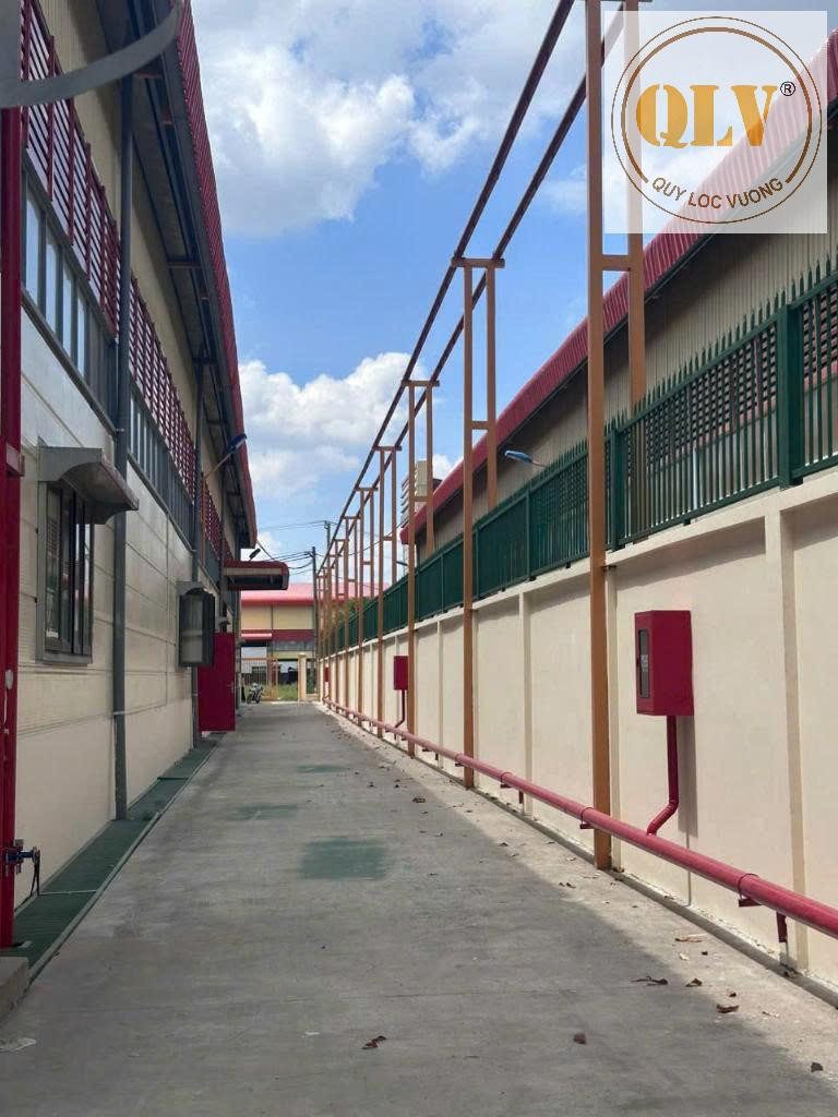 Hình 3