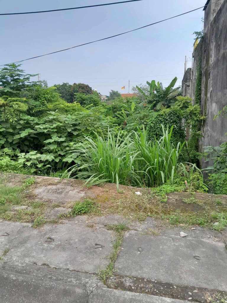 Đất nền 56m² mặt tiền 6.6m tại ngã 3 sầm uất, tiềm năng kinh doanh, giá 2.8 tỷ