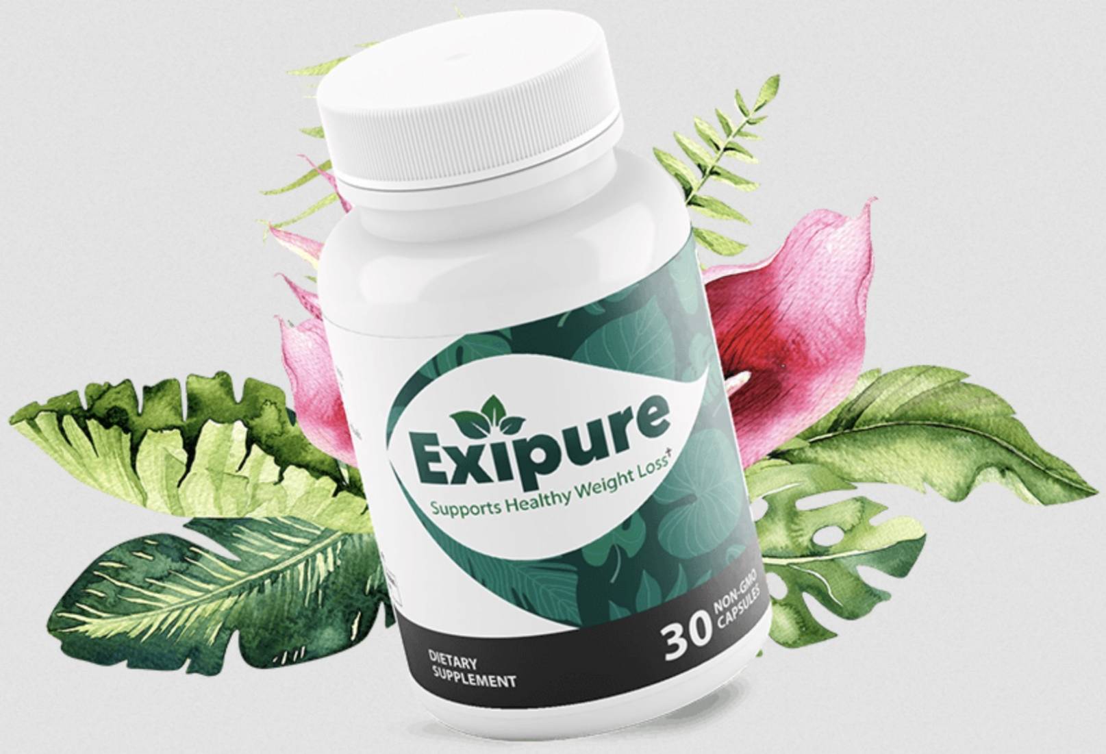 Exipure Nutrition