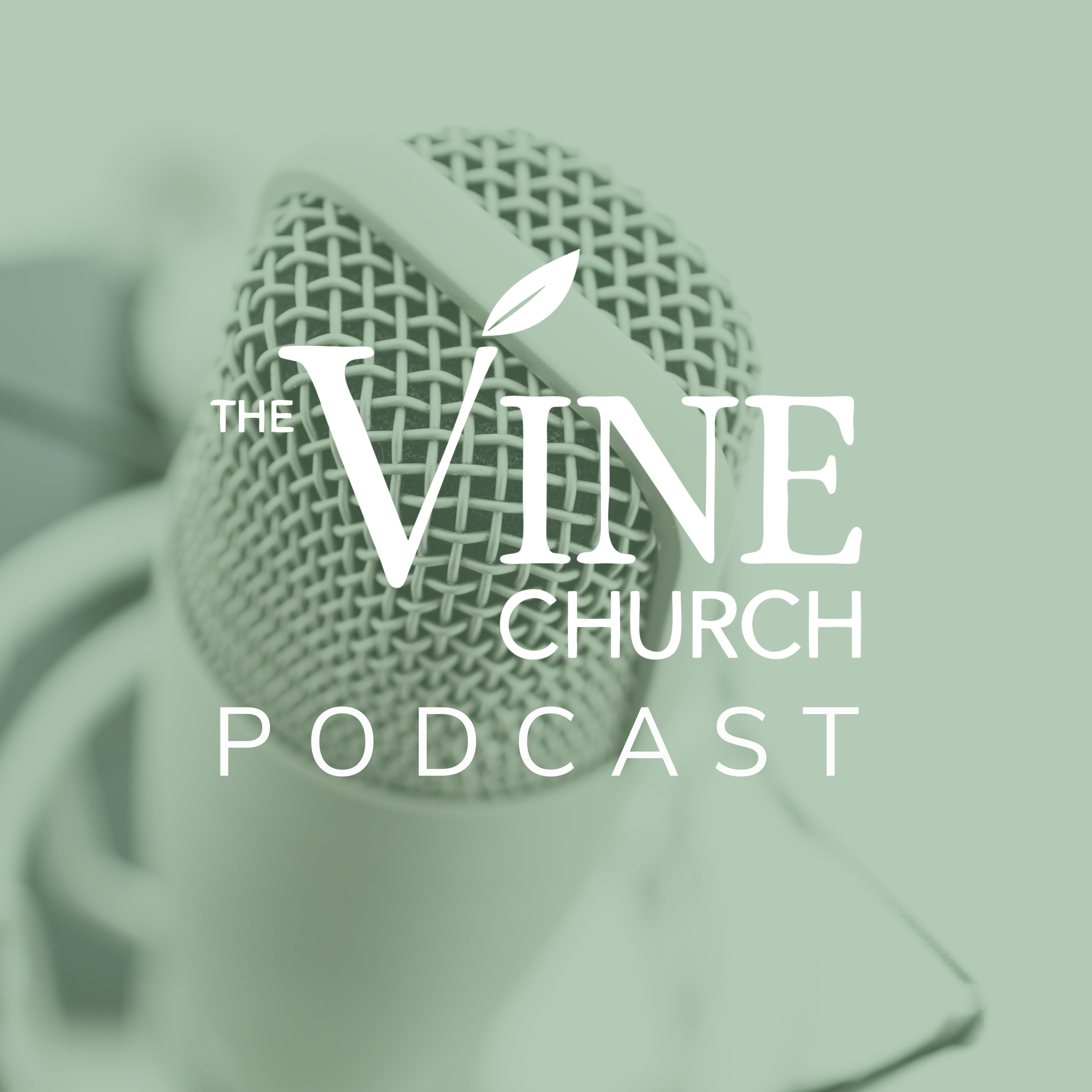 Vine Podcast 2