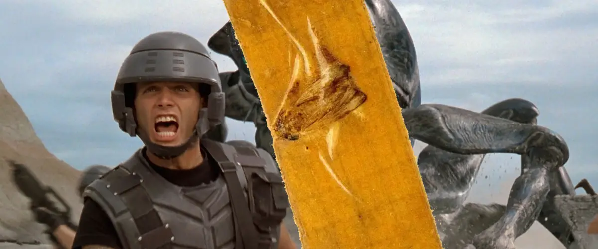 A picture from Starship Troopers with the moth found by Grace Hopper taped over the alien