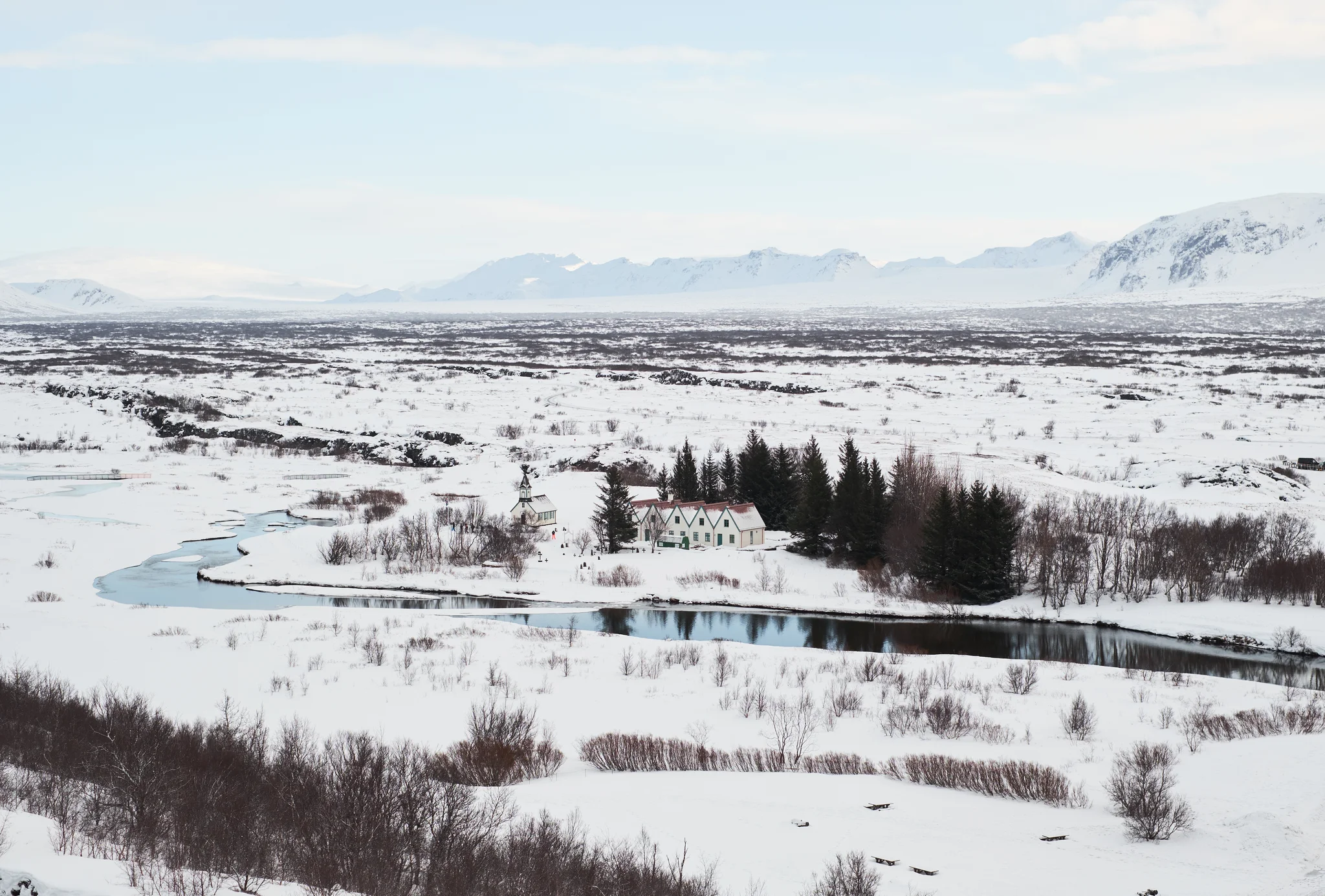 DSCF6138.webp