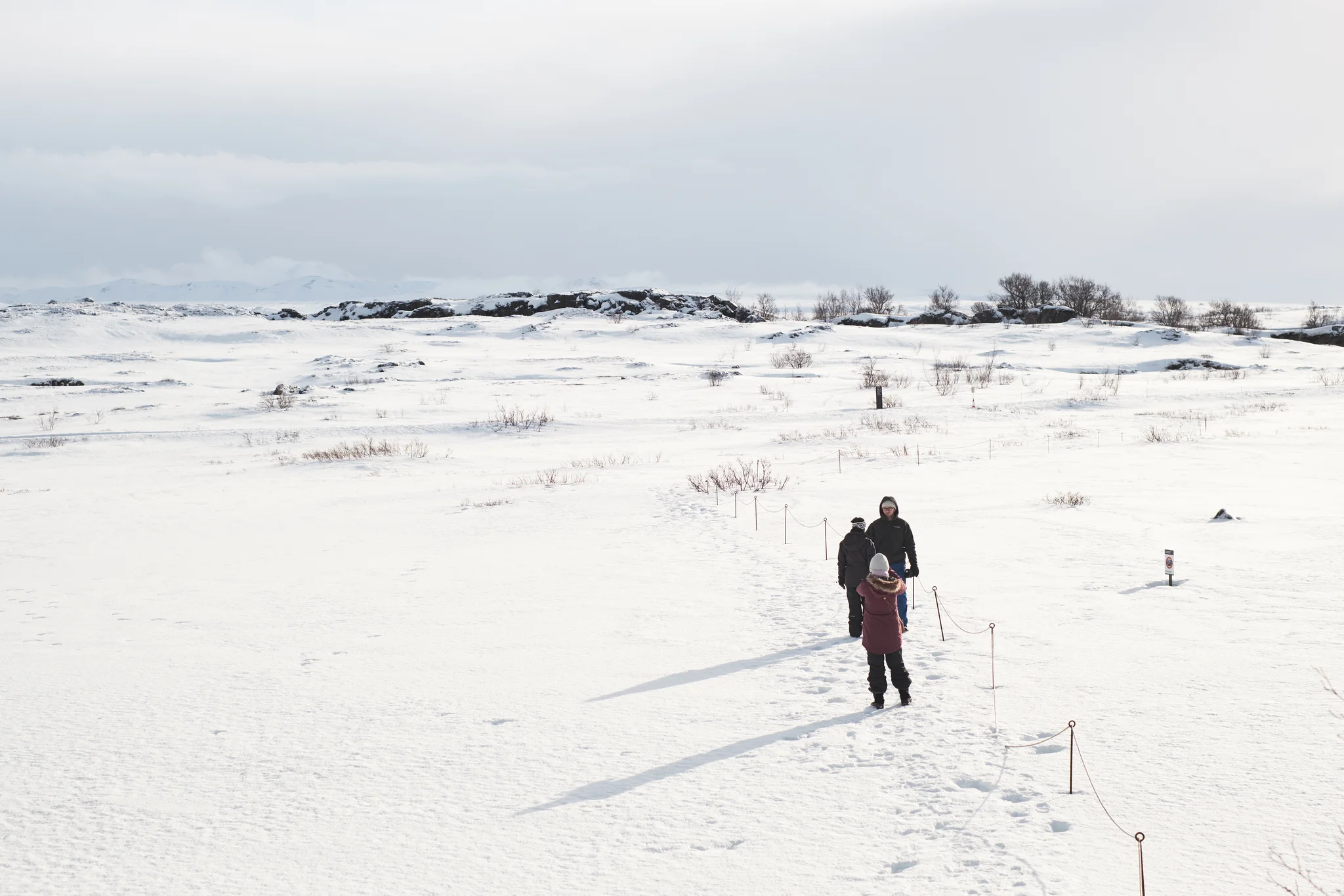 DSCF6161.webp