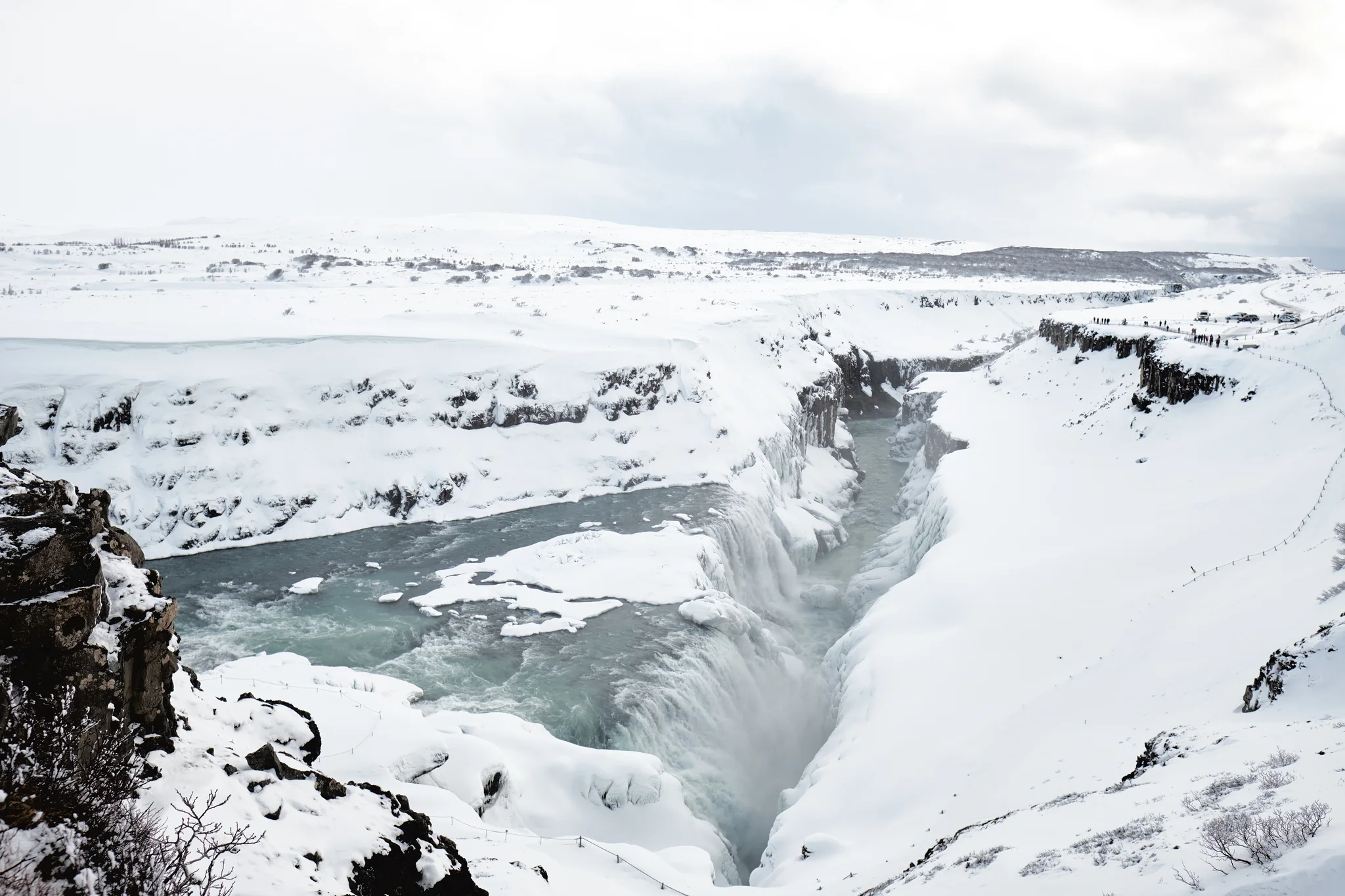 DSCF6180.webp
