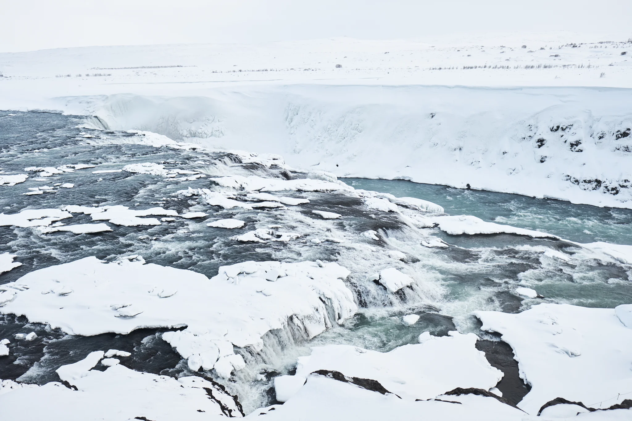 DSCF6190.webp